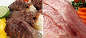 quanto a espécie peixes (escama, couro) crustáceos moluscos anfíbios quelônios quanto ao teor de lipídios magros até 1%: bacalhau, traira, dourado, linguado, pescadinha, robalo meio gordo até 5%: