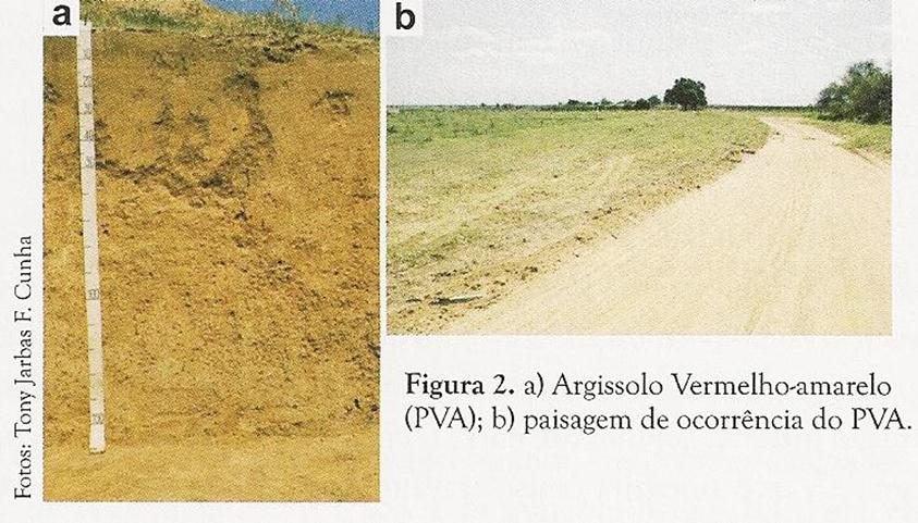 Principais solos irrigados no Submédio SF (Cunha et al.