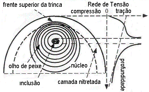 Figura 2 Representação esquemática da nucleação e crescimento da trinca em uma inclusão olho de peixe [4].