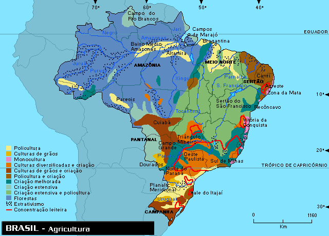 http://www.portalbrasil.