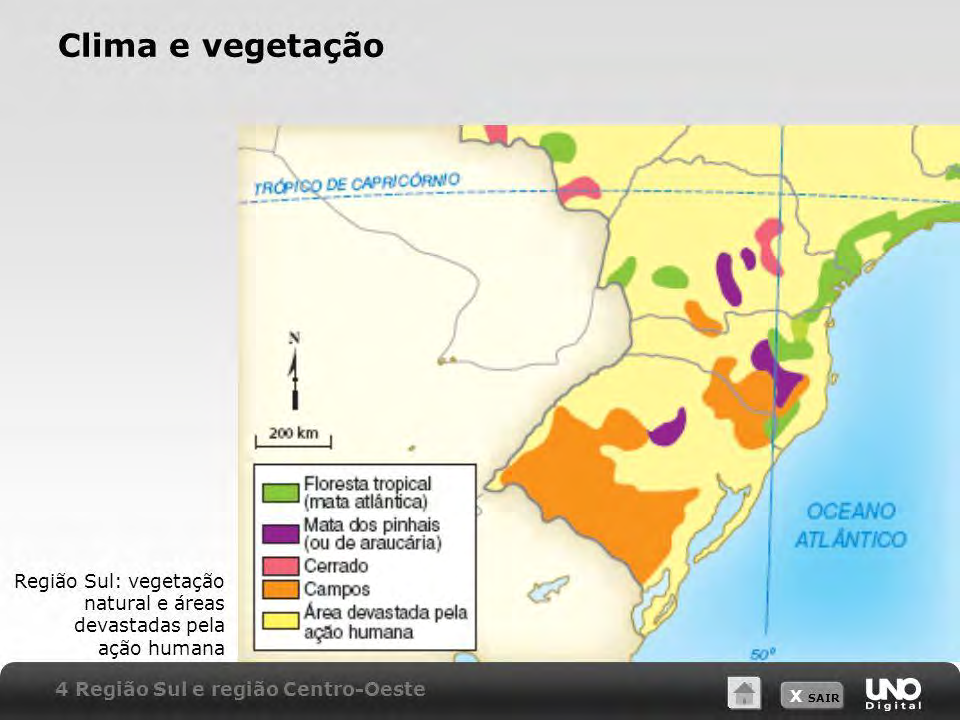 Aspectos físicos e naturais Região Sul- Vegetação O clima ameno com chuvas bem distribuídas favoreceu o desenvolvimento de uma vegetação rica e variada: a Mata