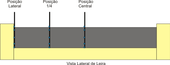 No caso do tratamento 4.1, a metodologia utilizada foi a mesma descrita para a secagem completa em terreiro, alterando somente o teor final de água para 30±5% (b.u.).