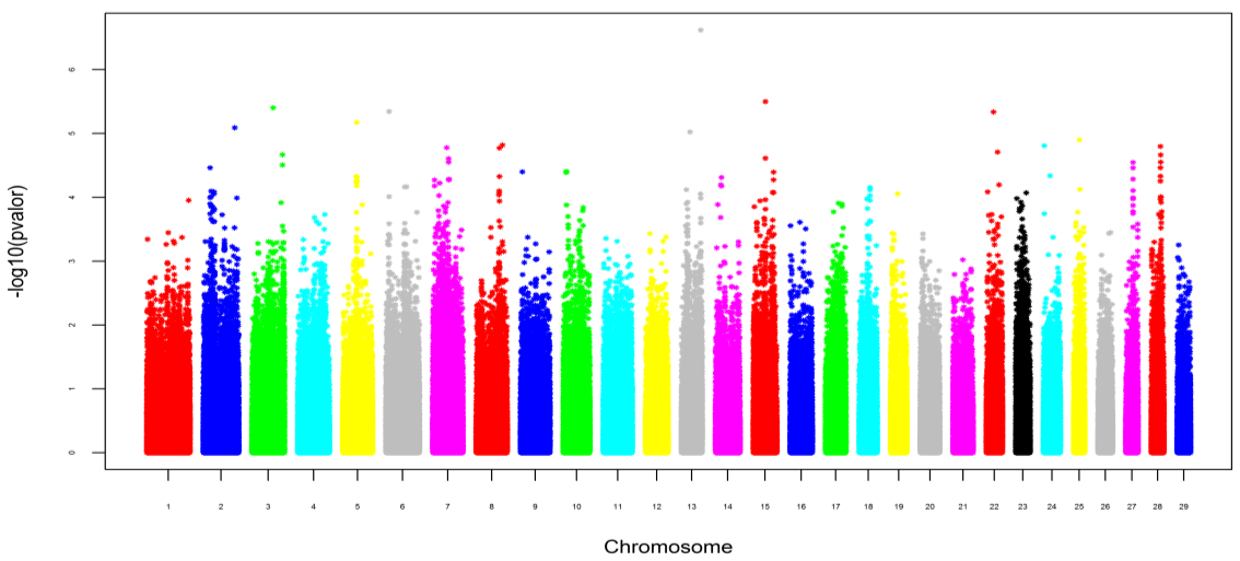 58 marcador poderá está dividido em partes, e atribuído a vários outros SNP em um bloco de haplótipos, por que qualquer SNP em LD com o polimorfismo causal pode ter o efeito estimado.