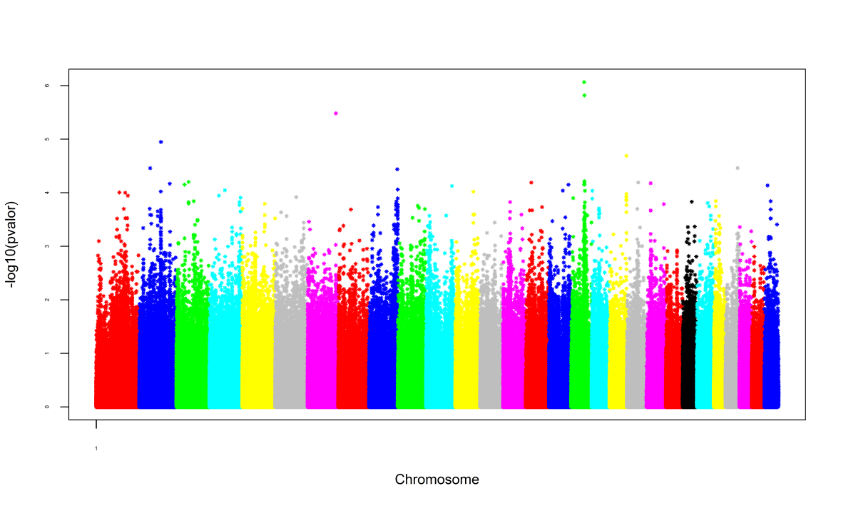 67 Estudo de associação genômica usando ssgblup A Estudo de associação genômica usando SNP por SNP B Figura 5 - Manhattan plot dos valores de p e dos efeitos dos