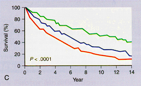 Influência da Função Ventricular Esquerda e do Número de Vasos Acometidos