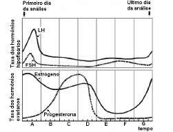 C) trompas de Falópio e útero. D) vagina e trompas de Falópio. E) ovários e vagina. 34. (UFRN 2007) Durante o ciclo menstrual, ocorre o espessamento do endométrio, a camada interna do útero.