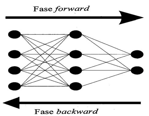 saída. Já o backward faz o sentido inverso, ele utiliza a saída desejada e a saída fornecida para ajustar os pesos de cada conexão.[bcl 00] Figura 3.
