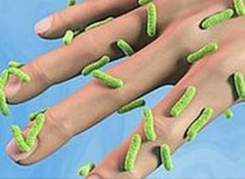 Transmissão de microrganismos através das mãos As mãos são o veículo mais comum de transmissão cruzada de agentes infecciosos