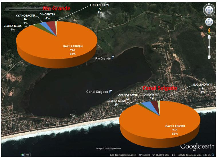 Distribuição da Comunidade Fitoplanctônica na Lagoa de Jaconé Analisando: - a porcentagem dos grupos taxonômicos nas estações de coleta ao longo da lagoa de Jaconé - os parâmetros obtidos, Concluímos