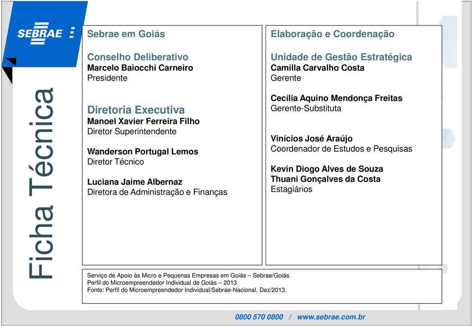 Serviço de Apoio às Micro e Pequenas Empresas em Goiás Sebrae/Goiás Perfil do Microempreendedor Individual de Goiás 2013 Fonte: Perfil do Microempreendedor