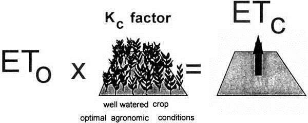 Além das informações requeridas para a estimativa da PPc, o modelo de D&K (1979) necessita de dados de ETc e de ETr.