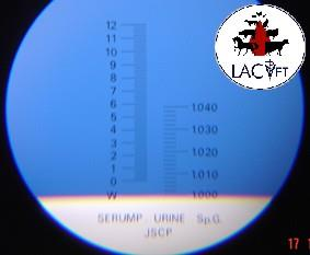 Refratômetro Calibração do refratômetro com água destilada (densidade = 1.0).