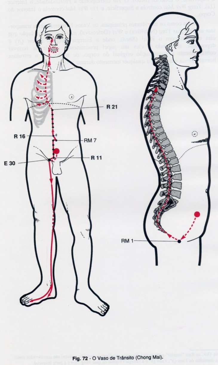 CHONG MAI APLICAÇÕES CLÍNICAS DOS (QI JING BA MAI): YIN WEI MAI : Tem a função de conectar todos os canais Yin do corpo; Controlar o Interior do Corpo (Sangue e Yin) Nutrir o Coração; Nutrir Sangue e