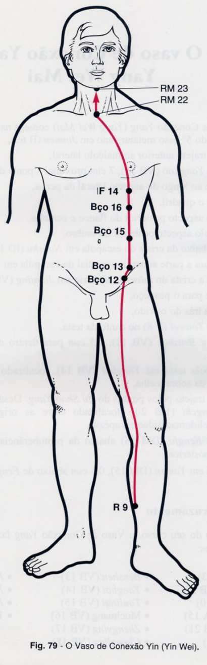 YIN WEI MAI APLICAÇÕES CLÍNICAS DOS (QI JING BA MAI): DAÍ MAI (CINTURA): Único Vaso Horizontal do corpo.