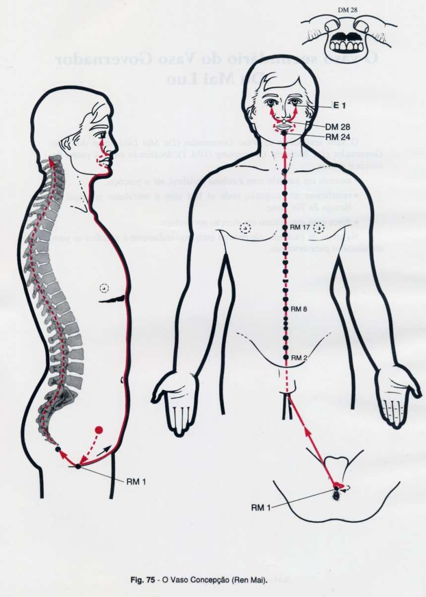 REN MAI APLICAÇÕES CLÍNICAS DOS (QI JING BA MAI): YIN QIAO MAI (V.