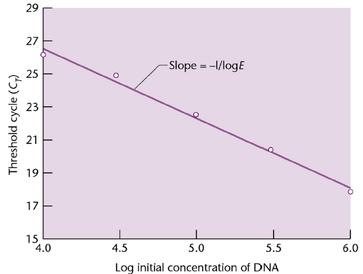 Representando C T em função do logaritmo da concentração inicial de DNA obtém-se uma recta de calibração que pode ser usada para analisar e comparar as quantidade iniciais de amostras desconhecidas,