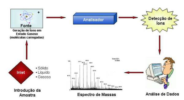21 Figura 4. Diagrama de funcionamento de um espectrômetro de massa (Applied Biosystems, 2005) Em 2002, John B.