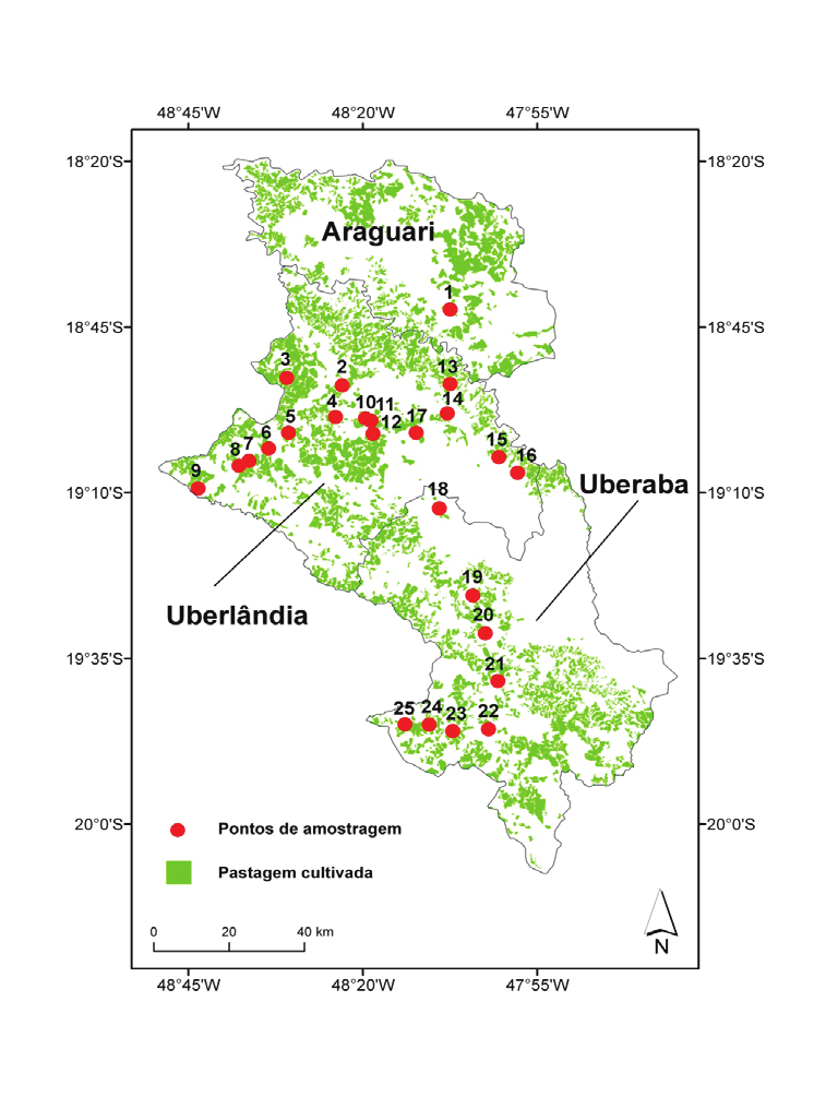 Figura 3: acumulado de pastagem cultivada (Ap), cultura agrícola (Ac), floresta estacional semidecidual aluvial (Fa) e savana gramíneo-lenhosa (Sg) da área de estudo para o período de 2000 a 2010.