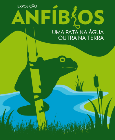 exposições itinerantes Anfíbios uma pata na água, outra na terra Esta exposição pretende sensibilizar para a fascinante biologia, diversidade e problemas de um grupo de animais bastante ameaçado e