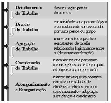 A organização, como função administrativa, é caracterizada por diferentes elementos básicos.