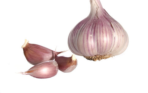 Garlic Processo de criação A fonte Garlic foi criada para a seção de receitas da revista Menu. Tem como base a fonte Futura, com contrastes menos acentuados e espessuras e terminações diferentes.