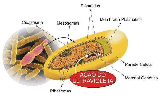 Alto poder oxidante Ozonização Ozônio: Diminui muito as concentrações e o tempo necessário para a desinfecção Poder desinfetante: 10 vezes superior ao cloro Subprodutos orgânicos da ozonização: