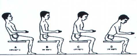 35 5. Quais são as melhores maneiras de diminuir a sobrecarga na coluna lombar (parte baixa das costas) quando sentamos?