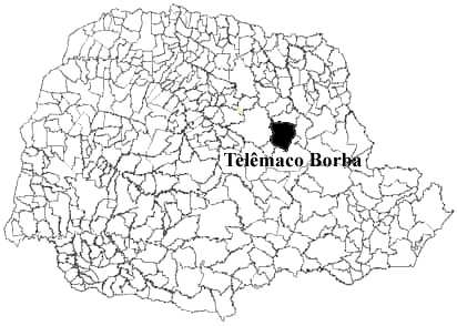 Figura 1. Localização do município de Telêmaco Borba no estado do Paraná. Figure 1. Telêmaco Borba county localization in the Paraná state.