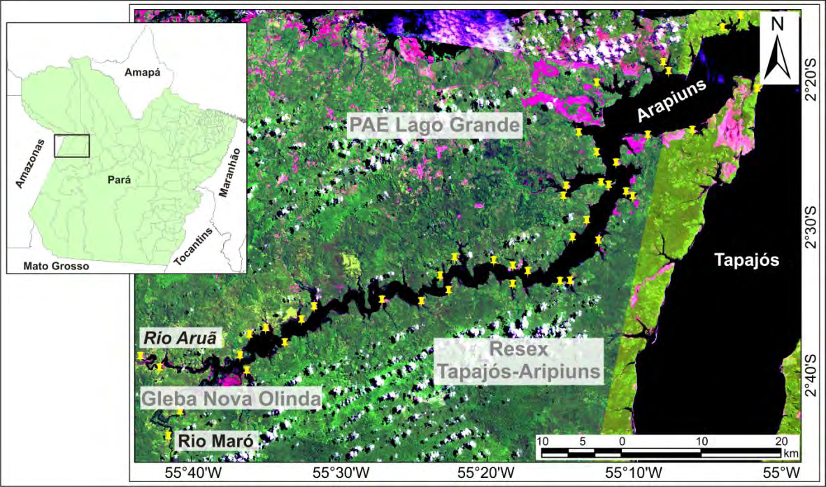 2 Área de estudo A área de estudo compreende a porção norte do Distrito Florestal Sustentável da BR-163, região central do estado do Pará, localizada no município de Santarém, incluindo áreas na