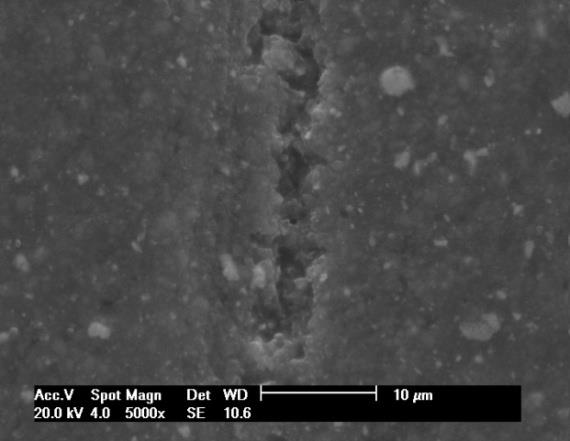 79 Fig.9 Microscopia eletrônica de varredura de uma amostra representativa do grupo ZXTO com aumento de 5000 X a) ausência de nanopartículas Fig.