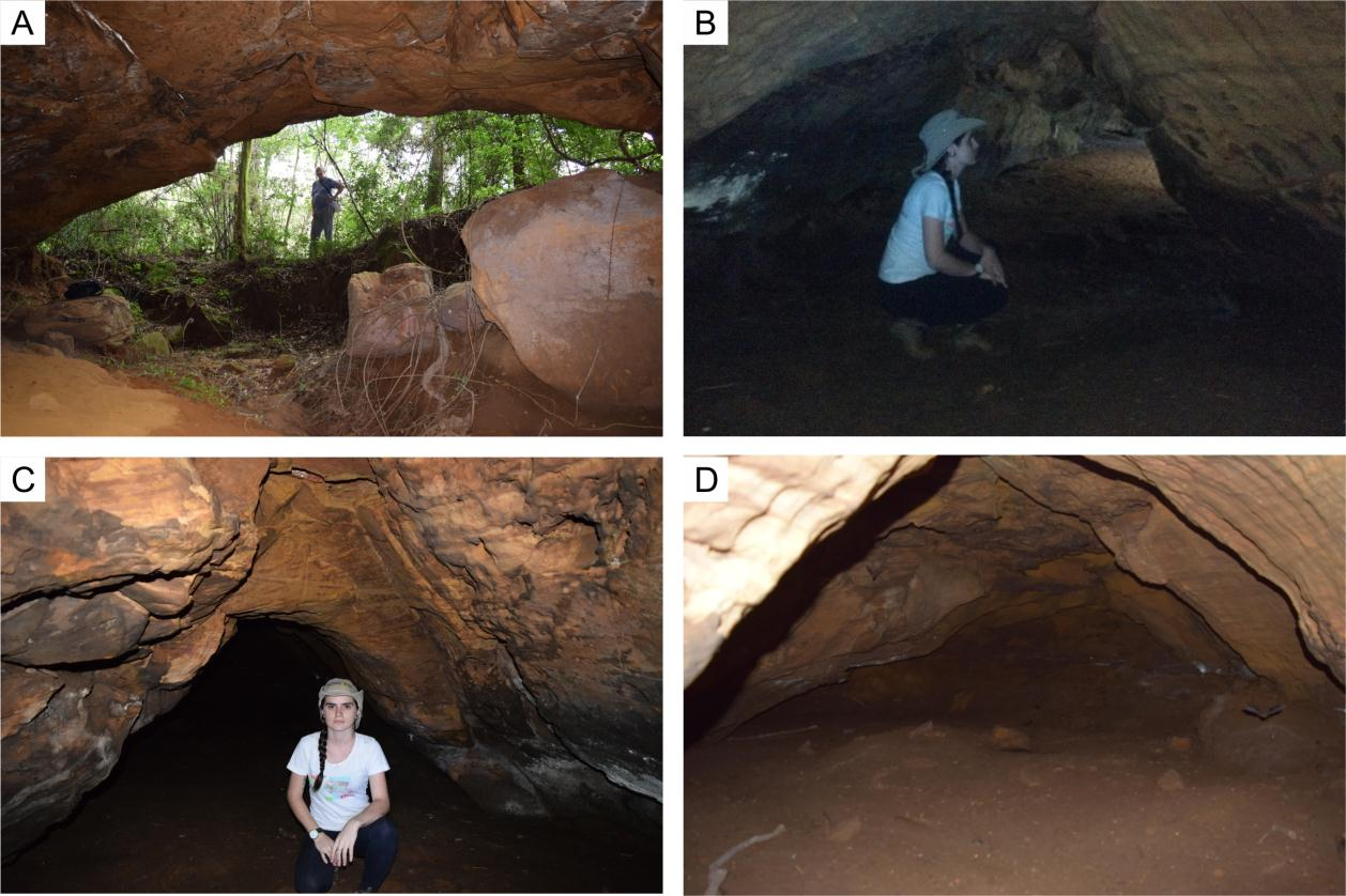 48 Figura 5 Visão geral da caverna. A - Visão interna da boca da caverna. B Segundo salão visto de dentro para fora. C Passagem do primeiro para o segundo salão.