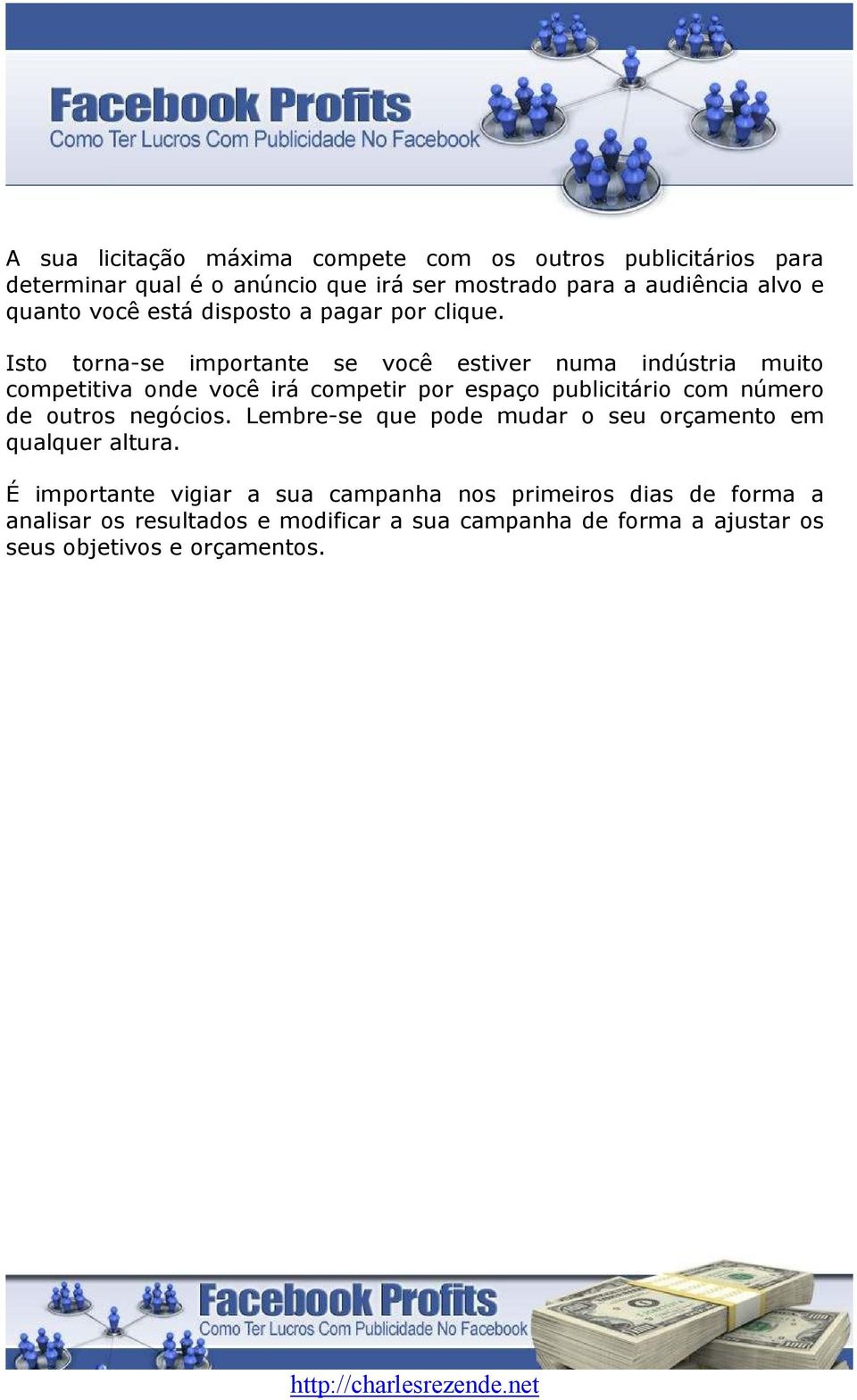 Isto torna-se importante se você estiver numa indústria muito competitiva onde você irá competir por espaço publicitário com número de