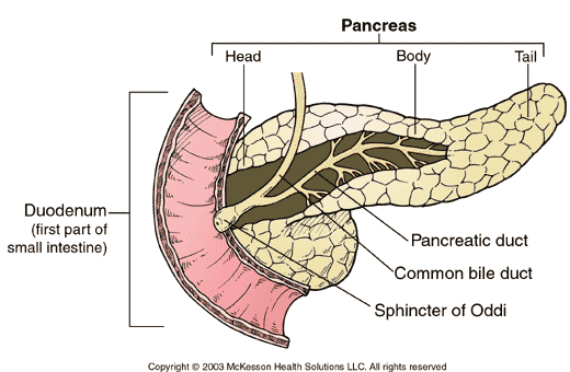 EXAME ABDOMINAL Pancreatite aguda Dor Abdominal aguda; Pancreatite alcoólica; Exame