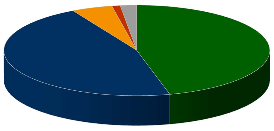 IMPORTÂNCIA DOS VEÍCULOS DE CARGA NA CIDADE DE SÃO PAULO Nada importantes 1%