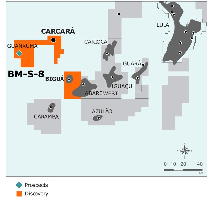 BM-S-8: COLUNA EXPRESSIVA DE PELO MENOS 471 METROS DE ÓLEO DE 31 API NO PROSPECTO CARCARÁ 10% de participação Recursos Contingentes e Prospectivos Descoberta de Carcará: Coluna expressiva de pelo