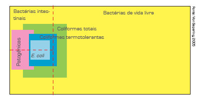 Caracterização do esgoto