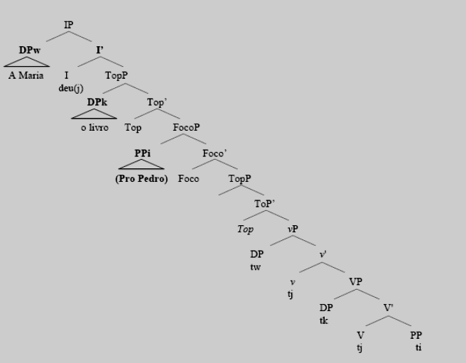 (11) Figura 4.