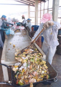 2 Processo de Compostagem a Partir de Lixo.