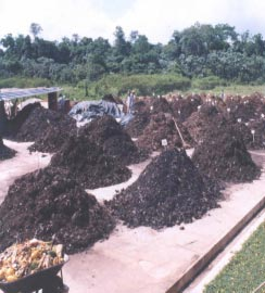 4 Processo de Compostagem a Partir de Lixo... Aeração A compostagem deve ser feita em ambiente aerado. Os microorganismos, para seu metabolismo, necessitam de oxigênio.