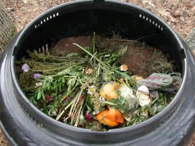 Todos os materiais orgânicos são compostáveis. Nestes materiais existe uma mistura de carbono (C) e azoto (N).