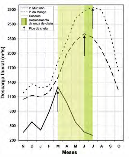 3 Característica peculiar dos ciclos sazonais de inundação é o fato de que diferentes áreas apresentam picos de inundação defasados, resultantes da ocorrência de precipitações em diferentes áreas, do