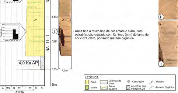 Figura 28 Perfil sedimentológico recuperado do