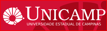 Quando o usuário tem a necessidade de obter um documento que não faz parte do acervo da Unicamp é possível, em determinados casos,