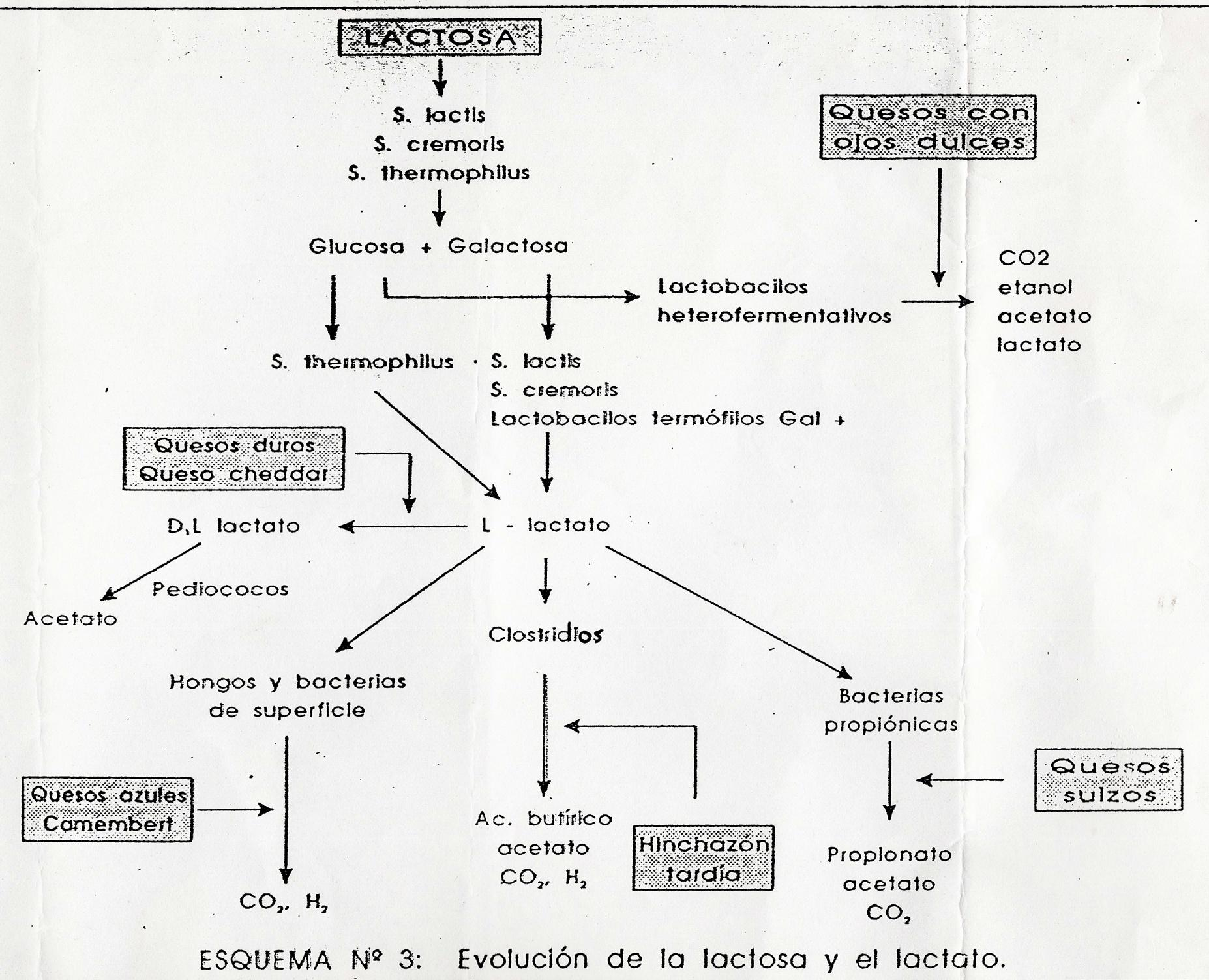 Visão geral da