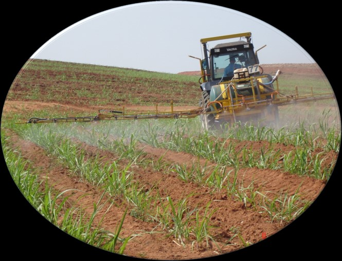 22:20 Controle de Plantas Daninhas em Cana-de-açúcar Tópicos da Apresentação 1. Práticas de manejo em pré-plantio 2. Manejo em cana-planta 3. Uso de herbicidas em soqueiras 4.