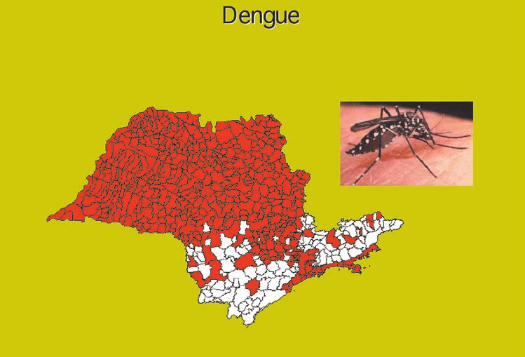 2008, foi elaborado por ela e pela Coordenadoria de Controle de Doenças CCD e lançado pelo Governador do Estado um plano de intensificação das ações de controle da dengue no inverno, que tem entre