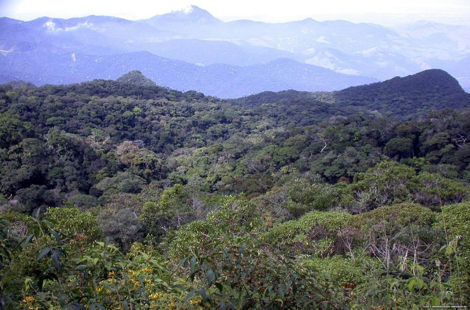 Área de atuação do projeto: Amazônia Regiões