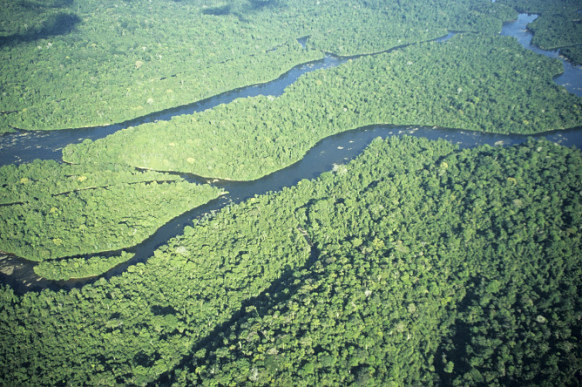 Biodiversidade em vários níveis Diversidade entre ecossistemas