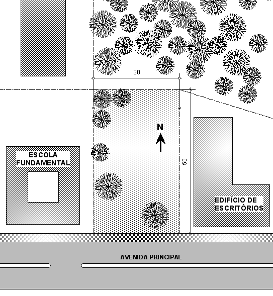 33 O movimento Moradia Para Todos - MPT - da cidade de São Tomé conseguiu da Prefeitura um terreno de 1500 m 2 (30 m de frente por 50 m de fundos), quase plano, lindeiro à Avenida Principal, próximo