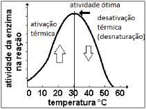 Especificidade